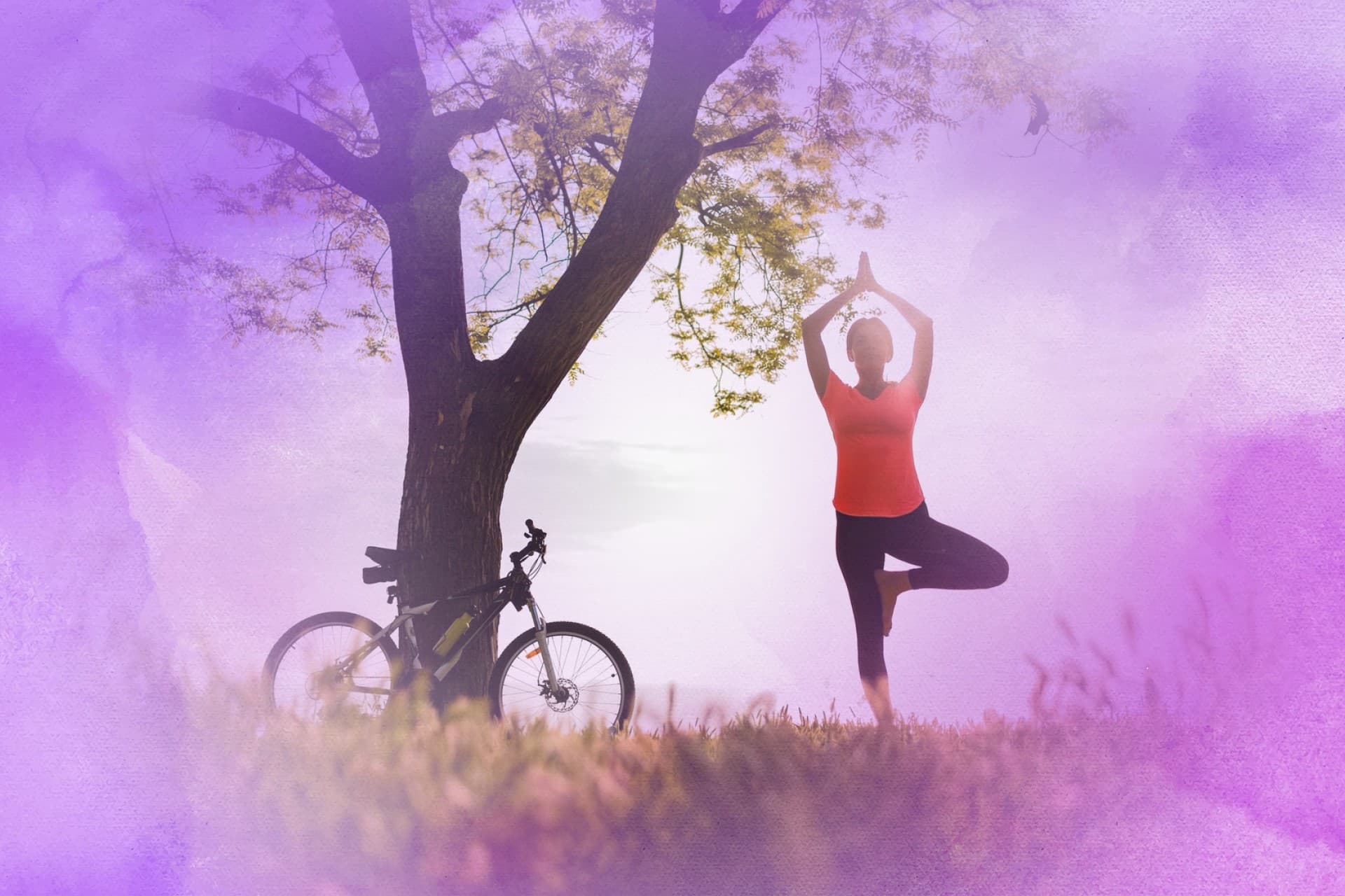 PEMF Therapy Results with the Regen PhD Pod