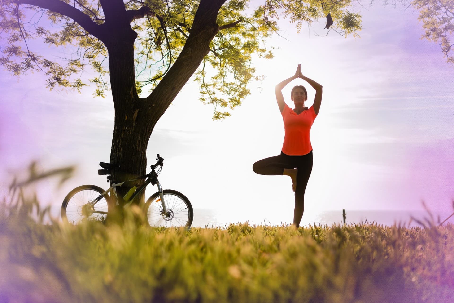 Home Magnetic Therapy and the Future of Regenerative Wellness with the Regen PhD Pod