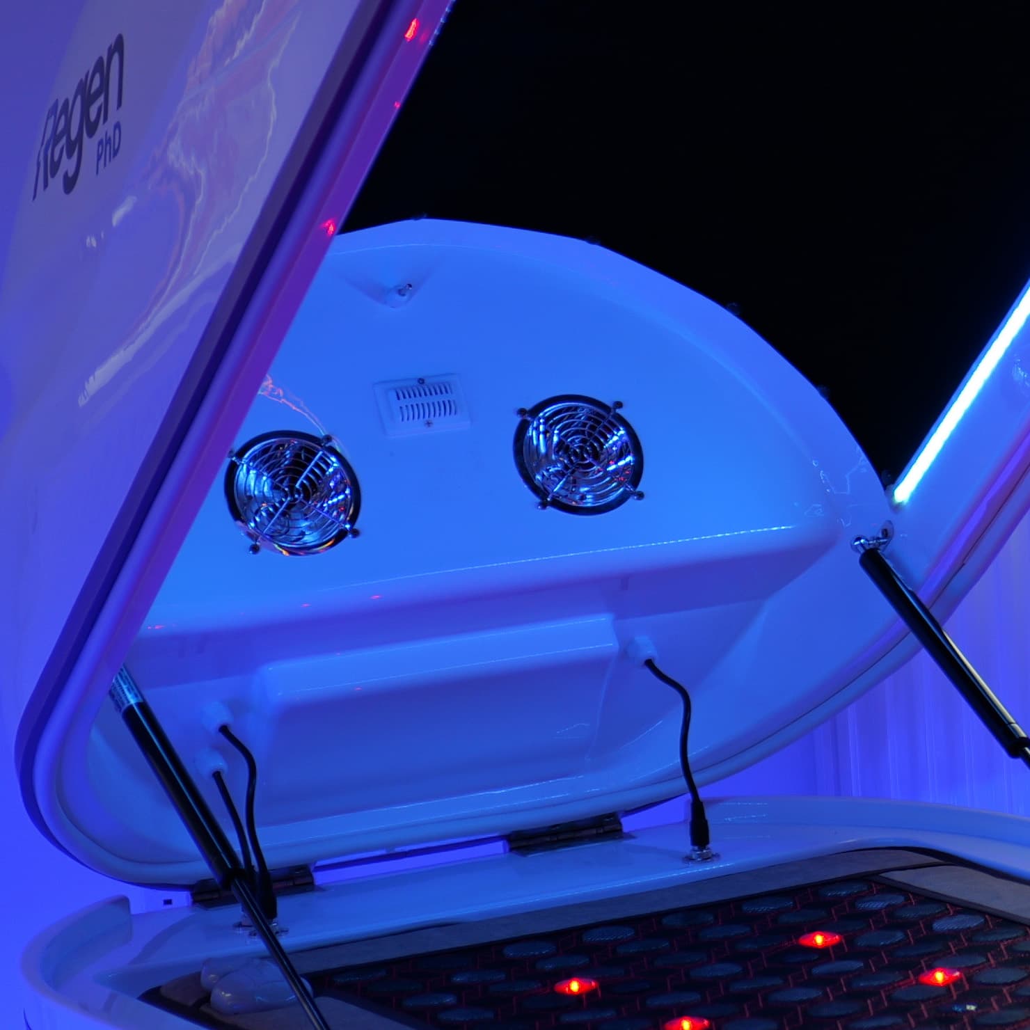 Environmental Reset (Ozone Purification Cycle)